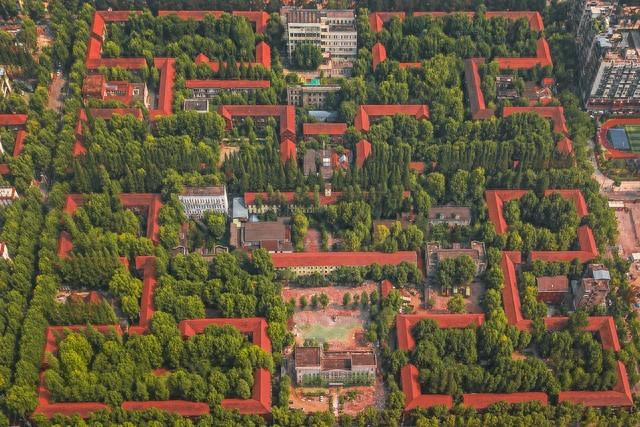 通道猎人内购破解版（国家划定红线）