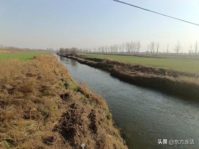 洨河笔记：赵州桥西边的这一段洨河