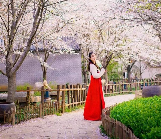 家乡美景唐韵樱花园