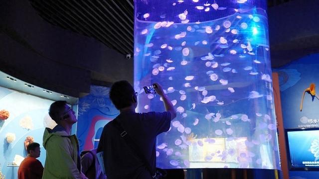 抚仙湖畔诗意栖居 化石博物馆对话寒武纪