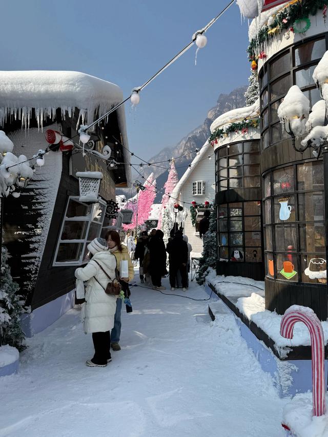 云台山雪凇比雾凇更难见呀