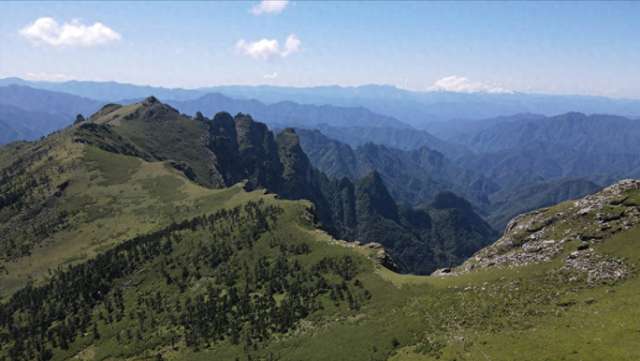 39岁宝妈独自徒步鹿角梁，有登山证也失联，近5个月音讯全无