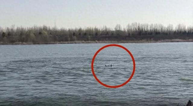 北京一女子因个人问题轻生，跳入超5米深河中，因一件羽绒服获救