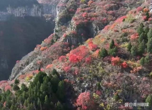 潍坊青州：秋色如画醉游人 黄花溪迎旅游高峰