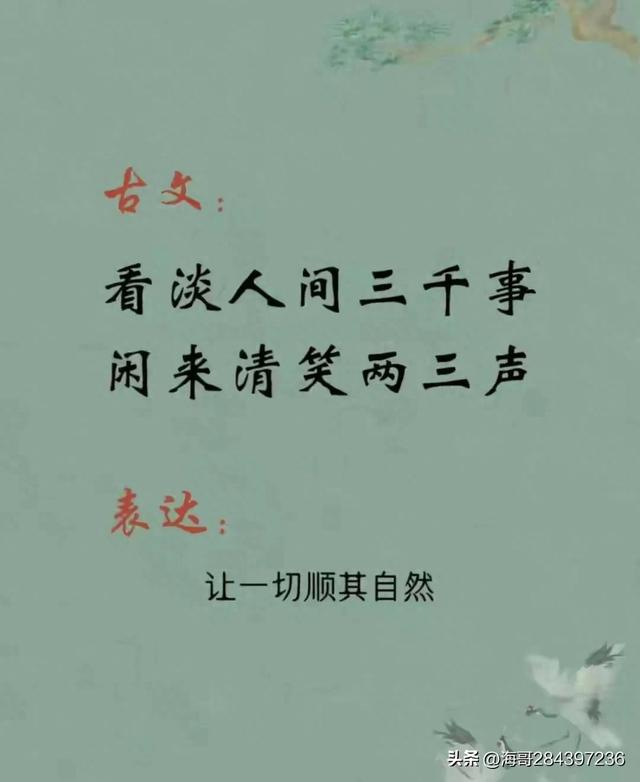 每天背一句古诗词，百天后你将出口成章，腹有诗书气自华