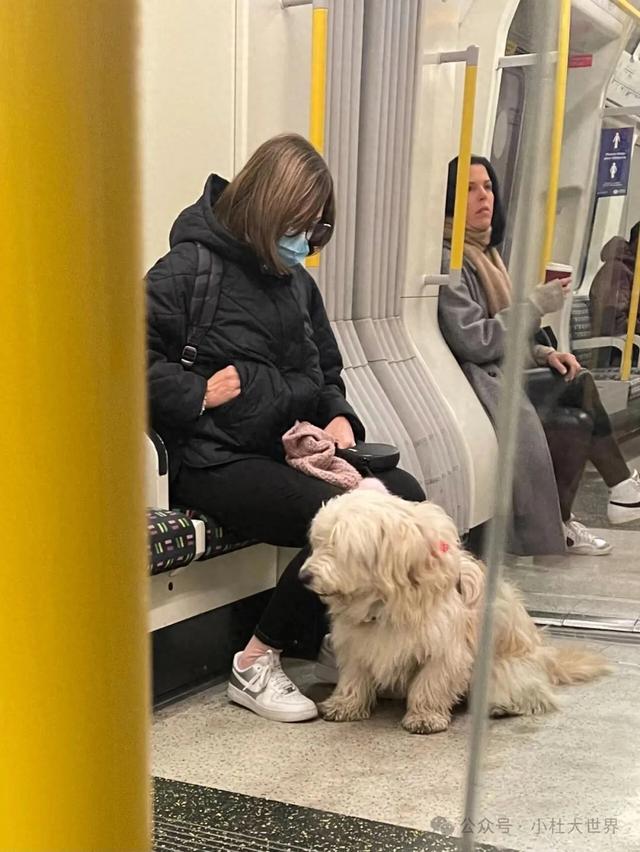 英伦轶事：人与狗