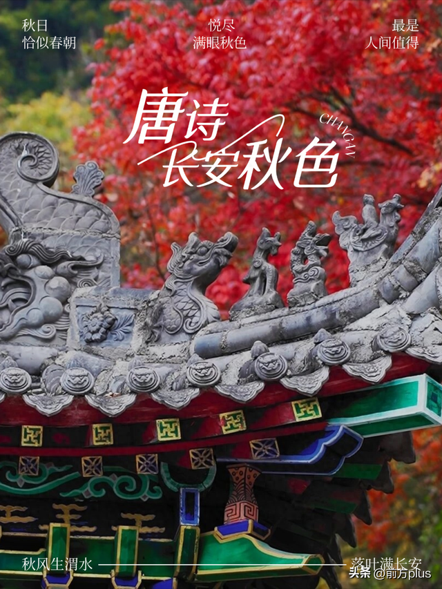 绝美！打卡唐诗同款长安秋色！