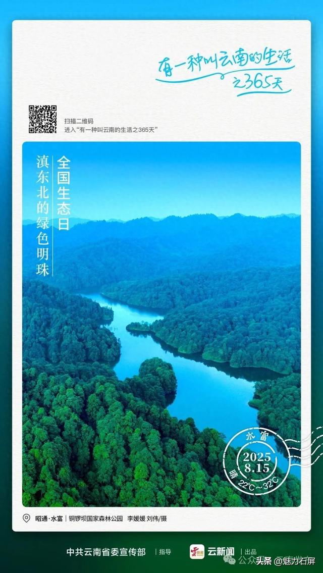 这片绿水青山，是铜锣坝最珍贵的宝藏丨有一种叫云南的生活之365天