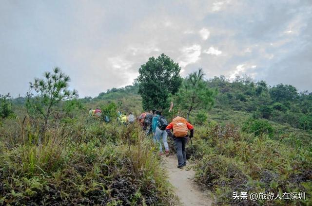 惠州白云嶂登高徒步游玩攻略，探索从盘古宫到山顶，领略自然奇韵