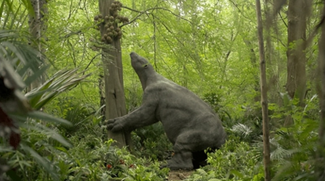 冰河时代“吃货”巨型地懒，最爱的果实我们还在吃