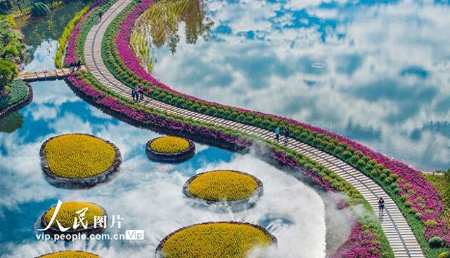 广西南宁：徜徉丘石花园