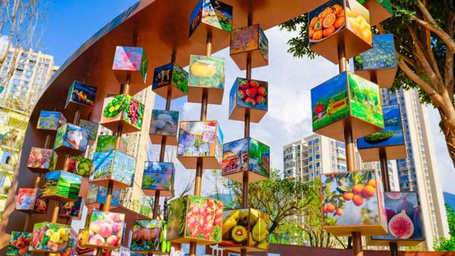 有朋自远方来！米易City walk超精彩