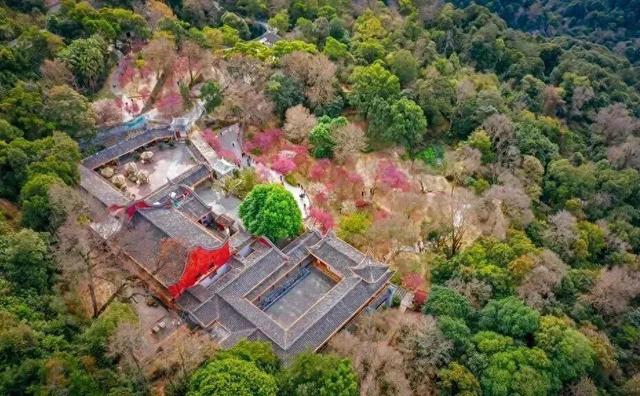 世界骑行日| 奔赴福建，一 “骑” 赏秋