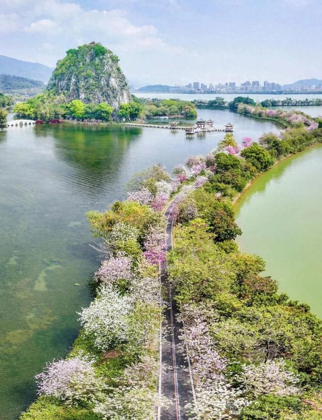 肇庆：山水与机遇交织的千年古城邀您共赴新篇