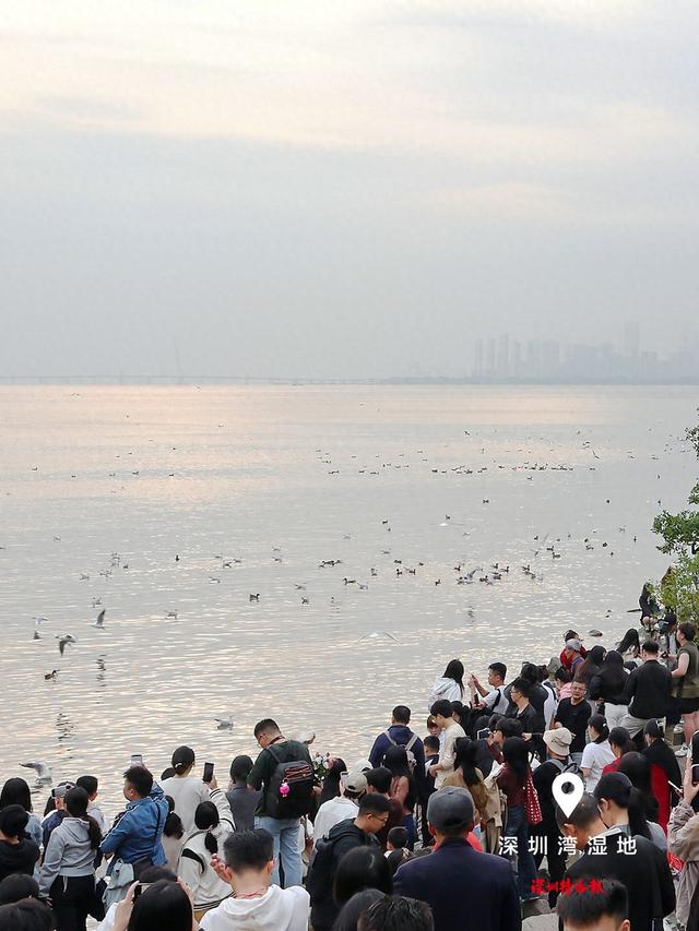 美丽深圳·每日一图｜2025年12月2日