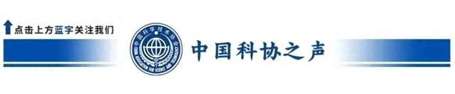 苹果6plus屏幕多少寸（对话｜科研父子兵）