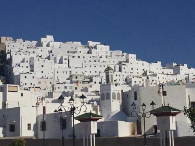 中国游客出境游新宠！摩洛哥国家旅游局CEO解码“吸引力”