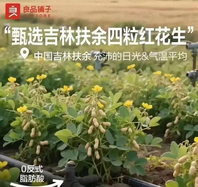 良品铺子就“花生长枝头”海报致歉