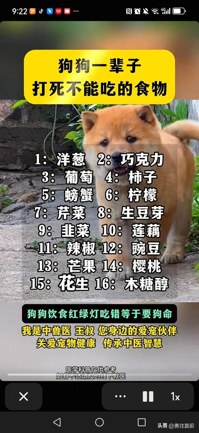 狗狗不能吃的东西有哪些（鐙楃嫍涓嶈兘鍚冪殑椋熺墿）