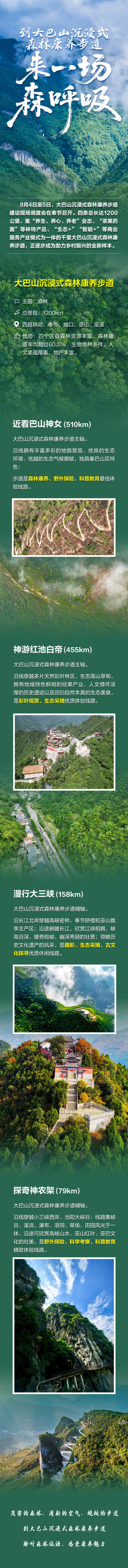 到大巴山沉浸式森林康养步道 来一场“森呼吸”
