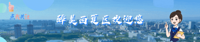 西夏区暑期科普活动精彩纷呈 点燃青少年科学梦想