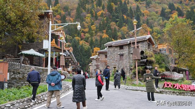 “推窗见彩林 入户享智能”羊茸哈德民宿解锁黑水旅居新体验