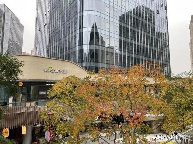 重庆的光环购物中心在搭建圣诞树，我估计再也不会去跨年了