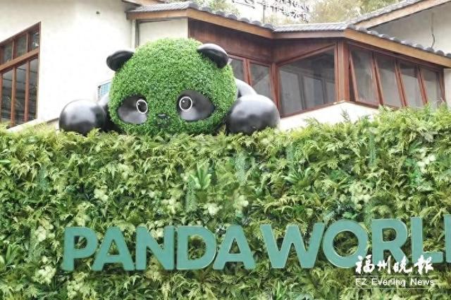 福州熊猫世界“剧透照”来了