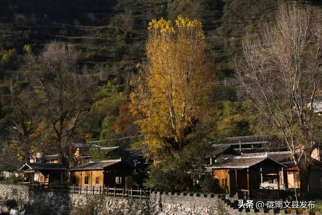 白马河冬日私语