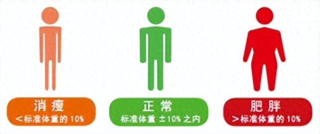 计算卡路里如何计算（两步法教你学会计算摄入总热量）