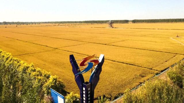悠然家乡，蓝天白云，青山绿水，自然之美无处不在。请到大美盘山来（第590篇）