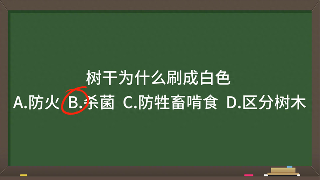 树干刷成白色是为了什么（公基常识知识积累178）