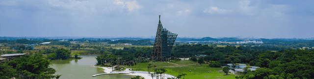 紫花风铃季赏花游玩超实用攻略！畅玩N种趣味体验~看这篇就够啦！