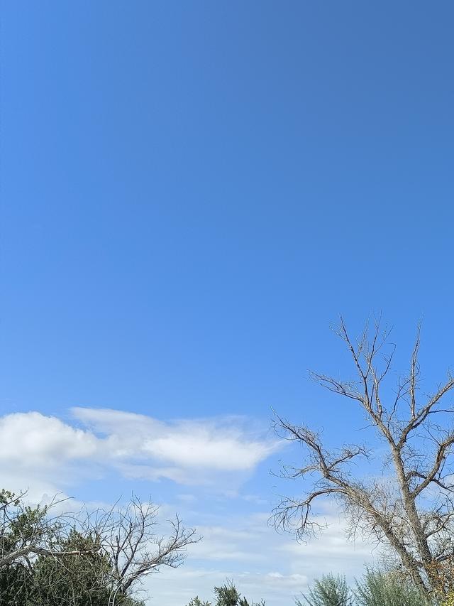 美在新疆｜北屯：天空与河流的蓝色恋曲