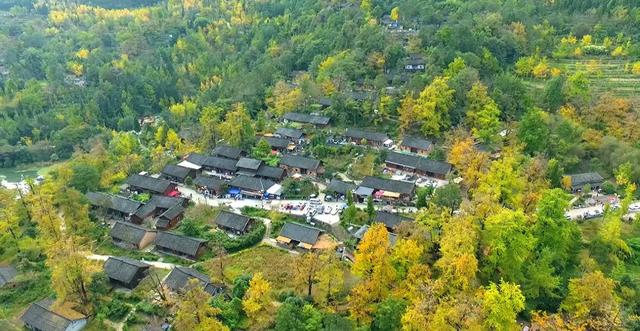 来金色妥乐 赏深秋美景