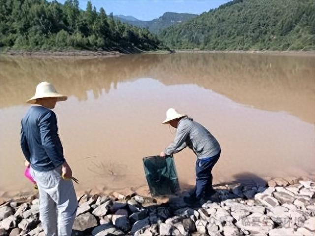 临夏州启动实施生物多样性本底调查项目