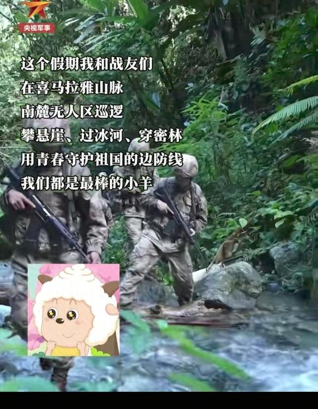 西藏无人区里的小羊真硬核！攀悬崖过冰河，他们守咱中国人的底气
