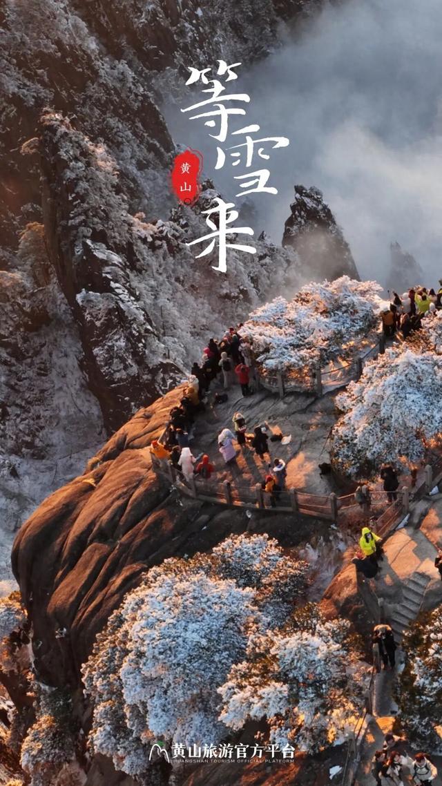 急！黄山冬雪美景即将抵达！准备好迎接仙境了吗？