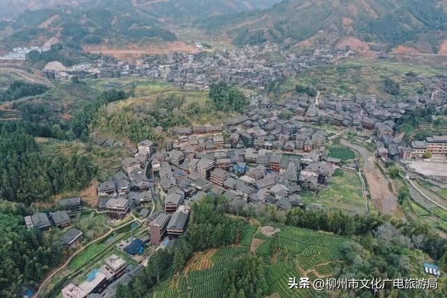 跟着AI游三江丨一口酸，一碗茶，一场宴，吃懂三江侗寨的人间烟火！