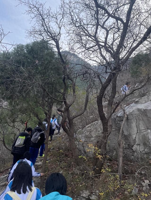 从黄河走向青山：惟有山头石，常带太古色 | 人文