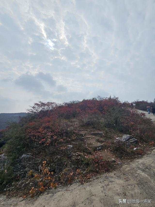 为什么向大山出发?大山有魅力，有景色，有红叶，有乐趣，有奇观