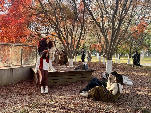 “初冬的浪漫藏在公厕旁”你敢信？就在合肥…