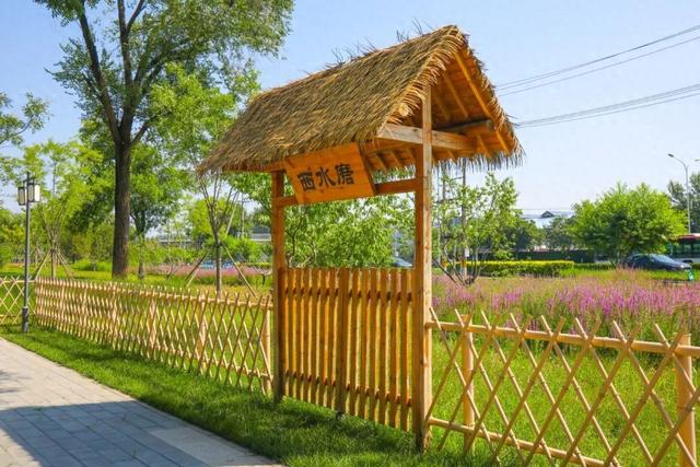 海淀区圆明园附近的“小而美”公园，您来过吗？