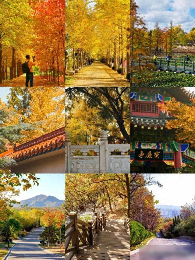 【乐游烟台】烟台秋色杀疯啦！