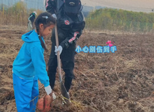 汪峰不装了！森林北生病，他却带着女儿地里挖白菜，章子怡躺赢了