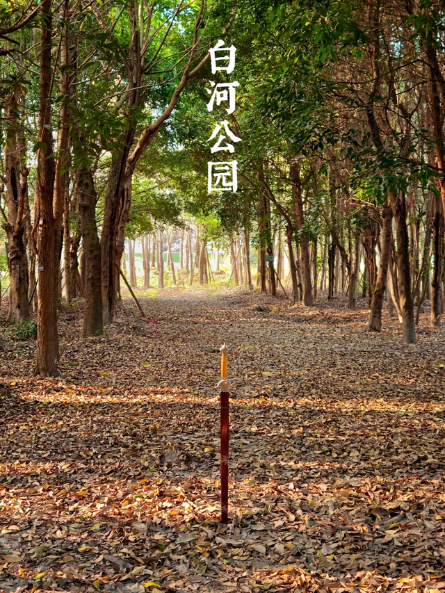 成都这个公园胜过绕城绿道，含氧量达100%，地铁3号线直达！