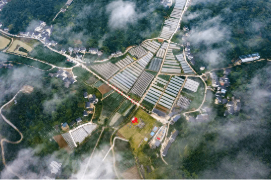 从“乐碛”到“洛碛”，来听渝北洛碛的故事→