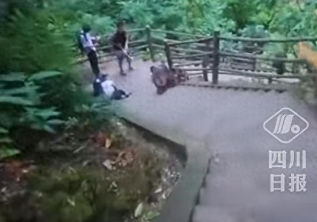 峨眉山猴子追人致游客摔倒？景区回应