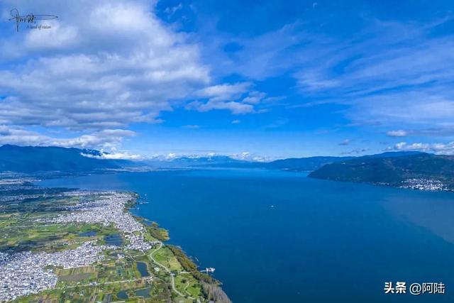 龙龛码头太有名,每天有很多人过来拍婚纱,但他们却不知道夫妻树