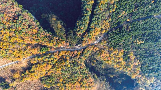 天生桥冬日披“彩衣”